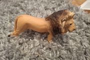Schleich Lion