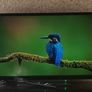 Toshiba 32-inch 32WK3C63DB Smart TV Image 4