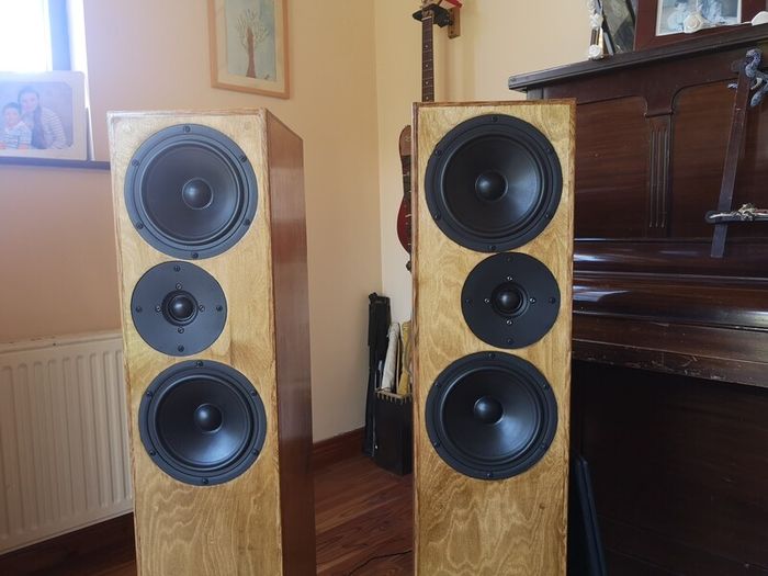 Floor Standing Loudspeaker