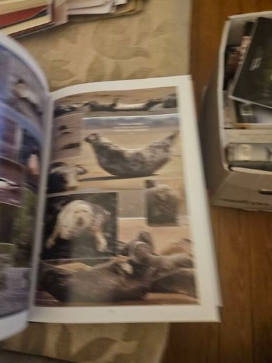 Wexford's Wild Heritage. By Alan Maguire- Christopher J. Wilson- Don Conroy. First Edition Large Volume Hardback With Dustjacket In Good Condition.  See Photos For Same.
