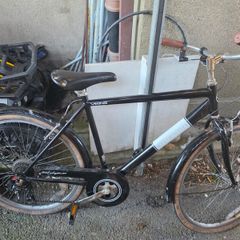westminster viking bike