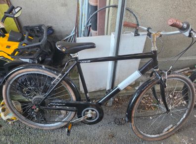 westminster viking bike