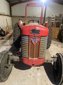 Massey 65