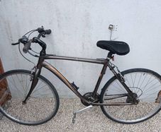 Adults Bike