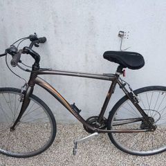 Adults Bike
