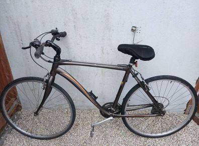 Adults Bike