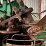 Beet Harvester Armer Salmon TR2000 Image 7