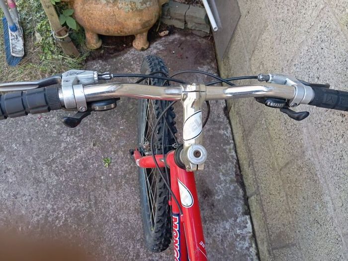 mongoose pro mountain bike