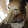 Vintage Rough Collie Dog Image 5