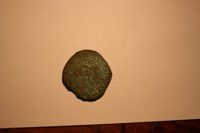 Ancient  Greek Coins