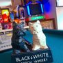 Vintage Black & White Whisky memorabilia Image 3
