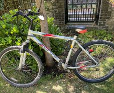 Giant Mountain Bike