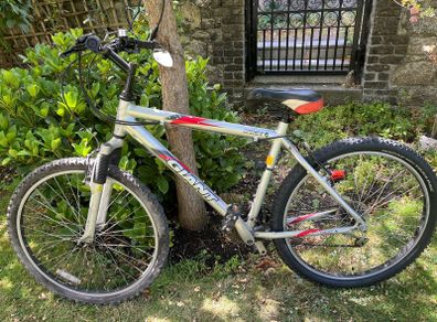 Giant Mountain Bike
