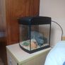 fish tank Image 2