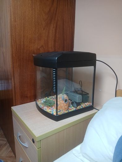 fish tank