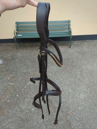Bridle