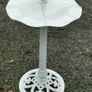 Old bird feeder with bird Image 4