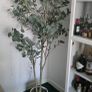 artificial tree Image 2
