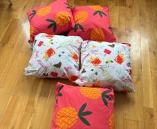 5 Garden Scatter Cushions.