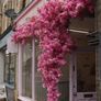 Flower Decoration Image 3