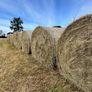 Hay Image 4