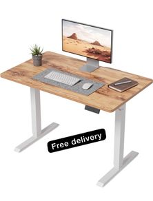 100 x 60cm Sit Stand Electric Home Office Desk with Memory Smart Pannel