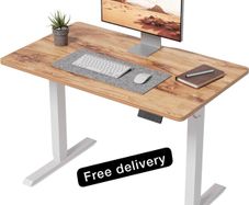 100 x 60cm Sit Stand Electric Home Office Desk with Memory Smart Pannel