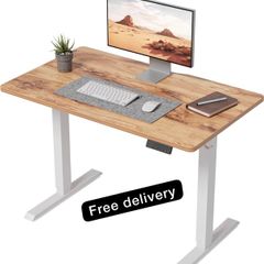 100 x 60cm Sit Stand Electric Home Office Desk with Memory Smart Pannel