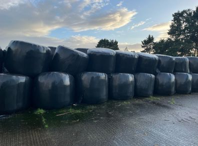 silage bales