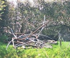 Free scrap metal