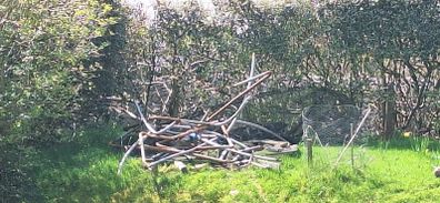 Free scrap metal