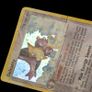 Delcatty 5/109 Holo Rare EX Ruby and Sapphire Pokemon Card Image 2