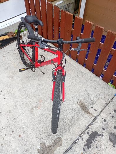 Giant Arx 24 Inch