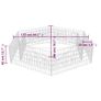 Hexagonal Gabion Raised Bed Image 5