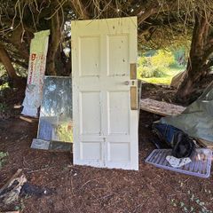 Georgian Panel door.