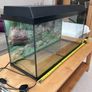 Vivarium / Reptile Enclosure Image 4