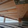 Pine wood Image 7