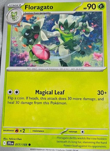 pokemon c