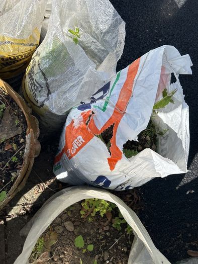 Top Soil