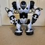 robosapion Image 2