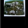 Sligo Field Club Journals 2015,2016 Image 8