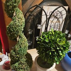 Home Decorative or Household Items