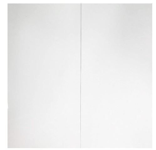 Flair White Ceiling Panel x2