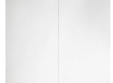 Flair White Ceiling Panel x2