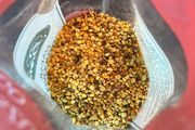Organic Natural Bee Pollen 100 g