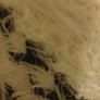 Jumpers 12/14 Image 9