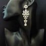 Vintage Style Crystal Dangle Silver Earrings Image 7