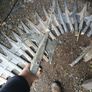 Battle pikes Halloween props Image 3