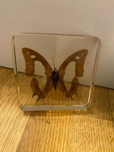 Vintage paperweight