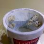 Pot Image 3